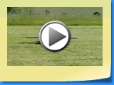 Video von Volker