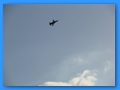Foto0028